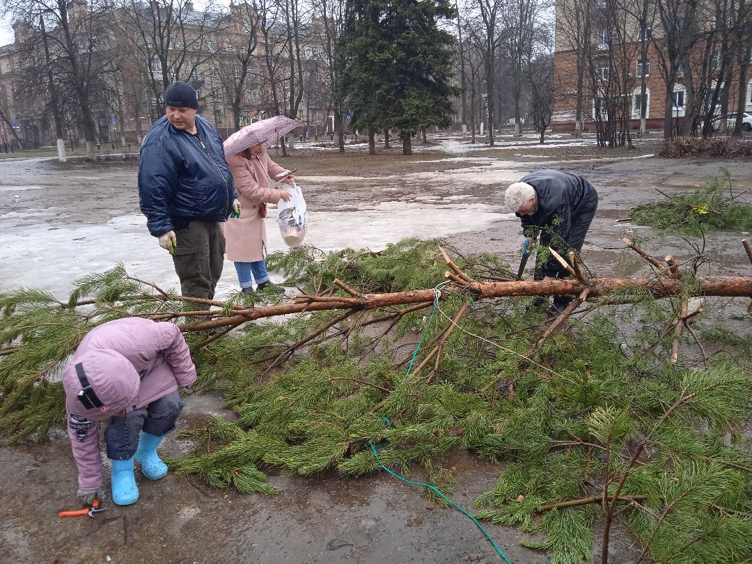 ёлка, ферма, Жуковский, волонтёры