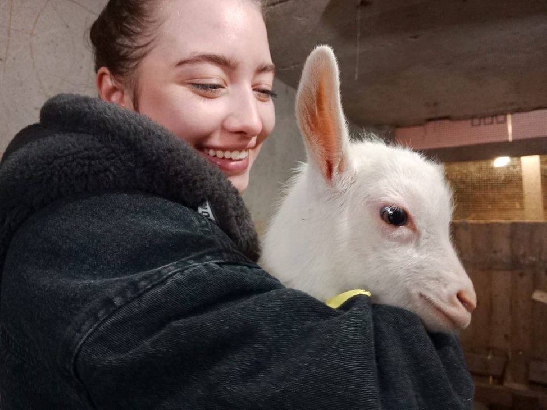 ёлка, ферма, Жуковский, волонтёры