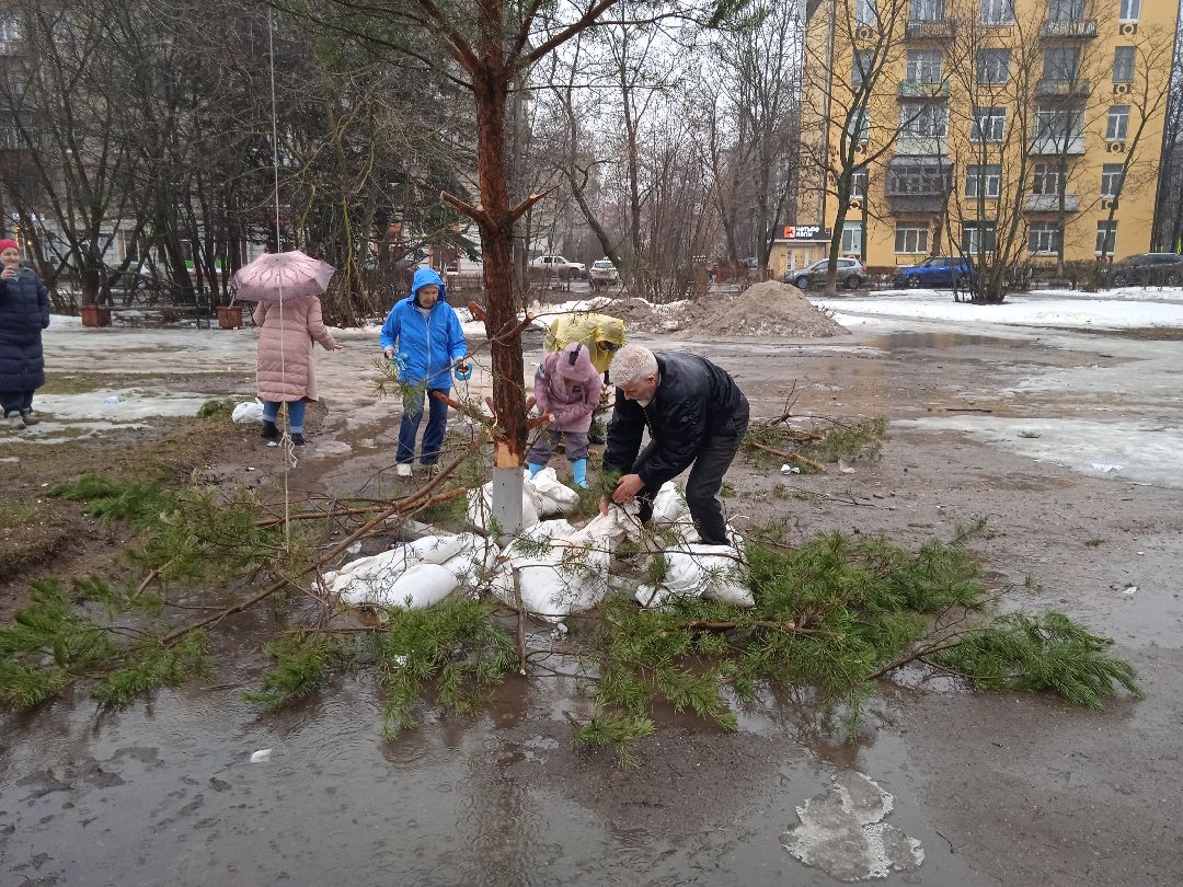 ёлка, ферма, Жуковский, волонтёры