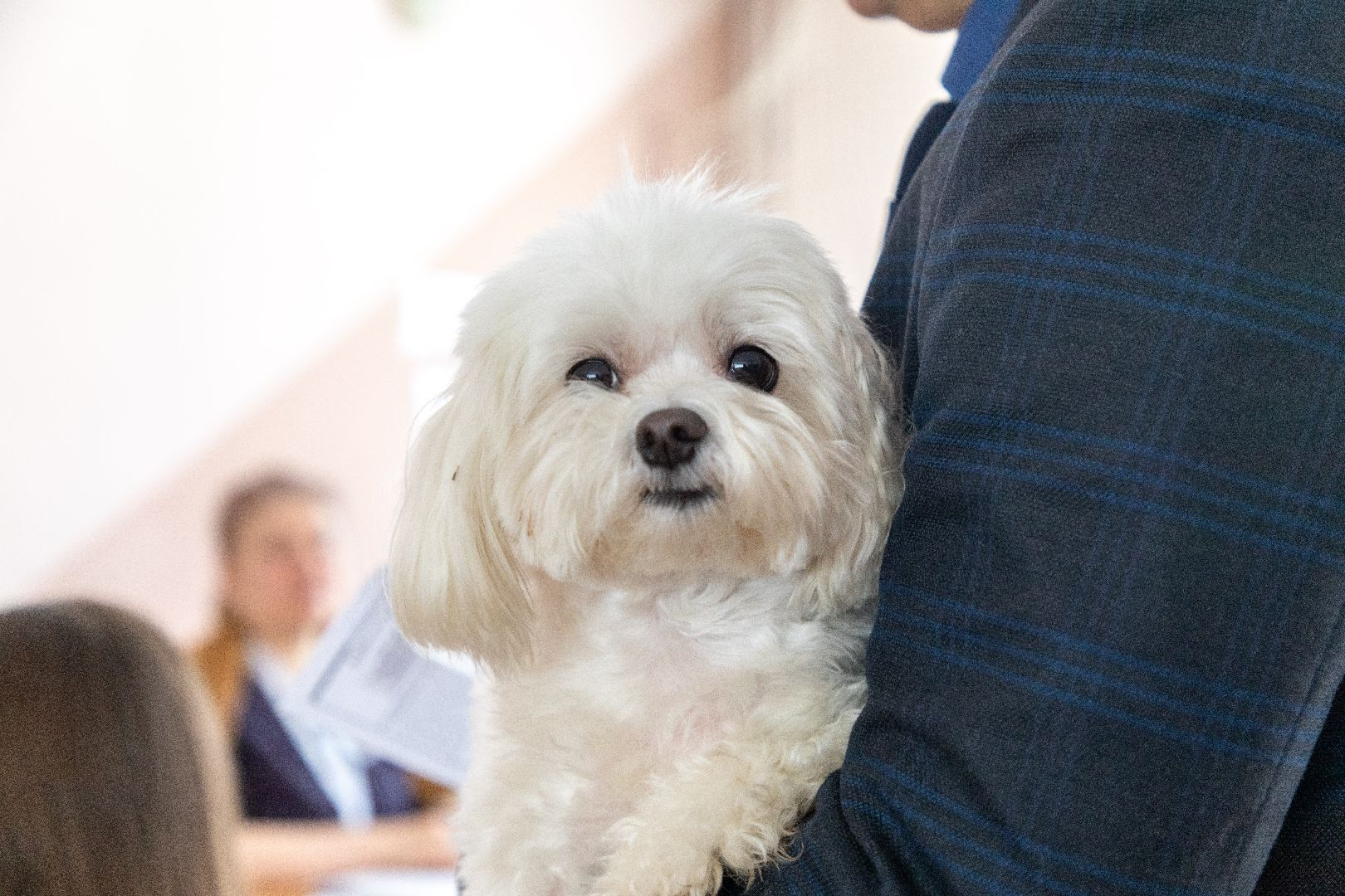 лыткарино, выборы президента 2024, семья,