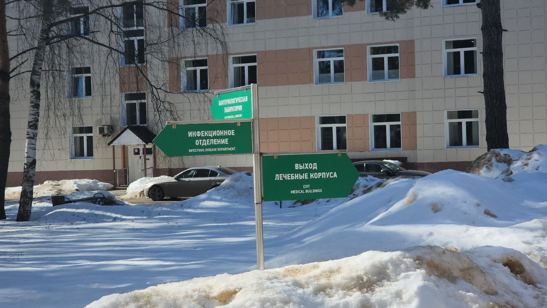 Врач, дистанционное голосование, Дэг, Дубна, Дубненская больница, Выборы 2024,