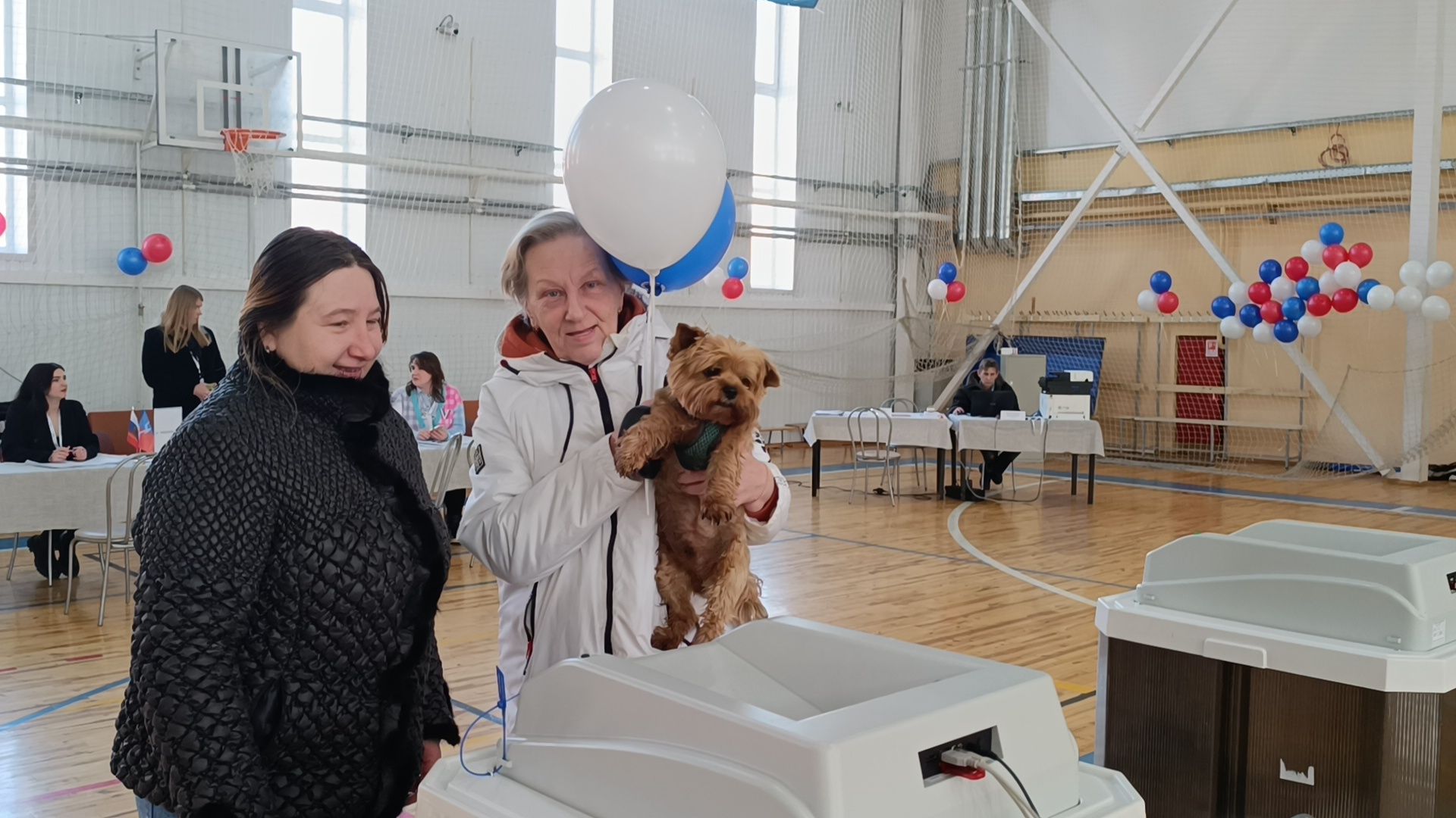 выбооры президента, собака, лобня,