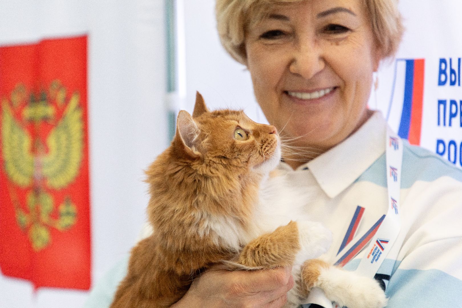 лыткарино, выборы, выборы президента 2024, кошка, наблюдатель,