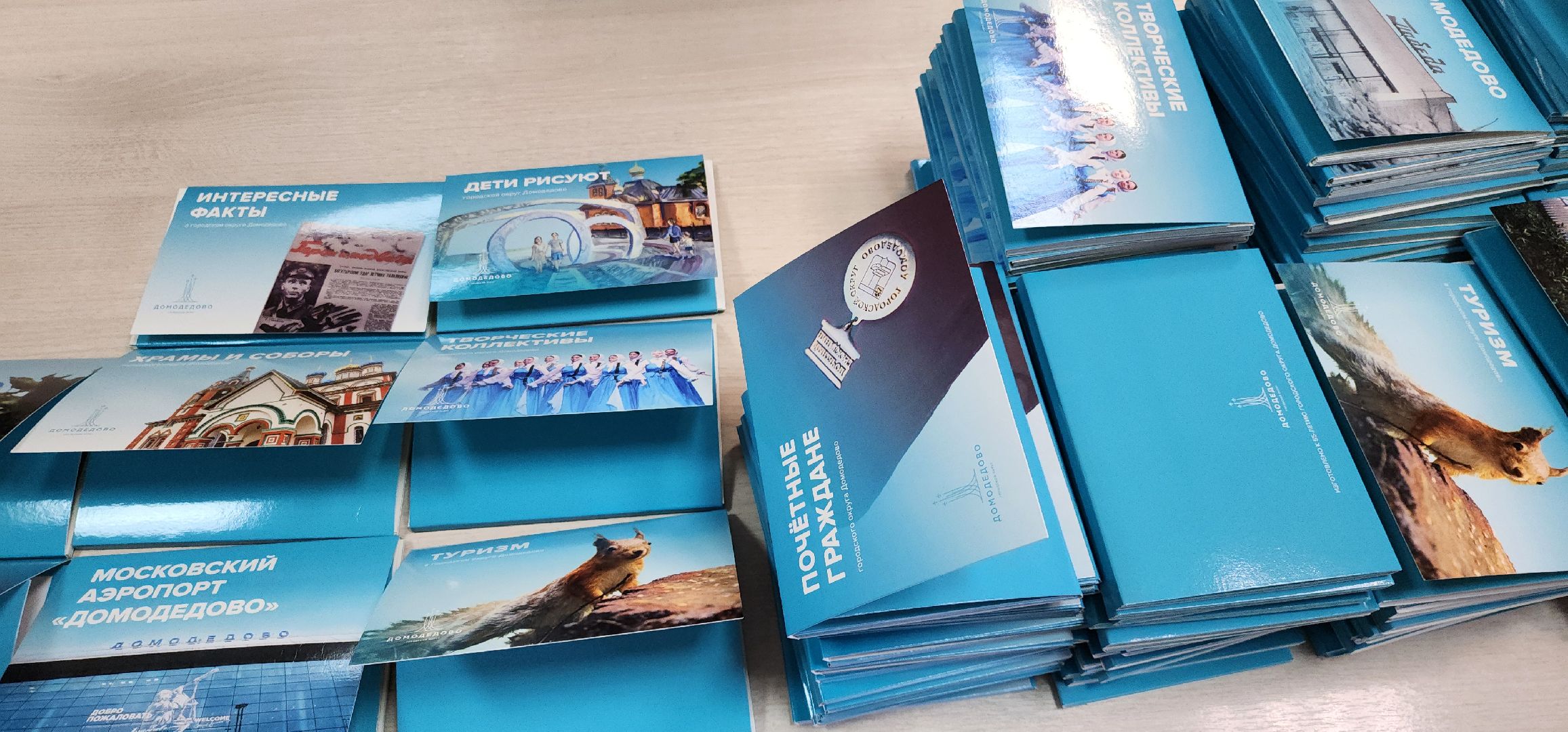 выборы 2024, МФЦ, Домодедово, выборы президента 2024,