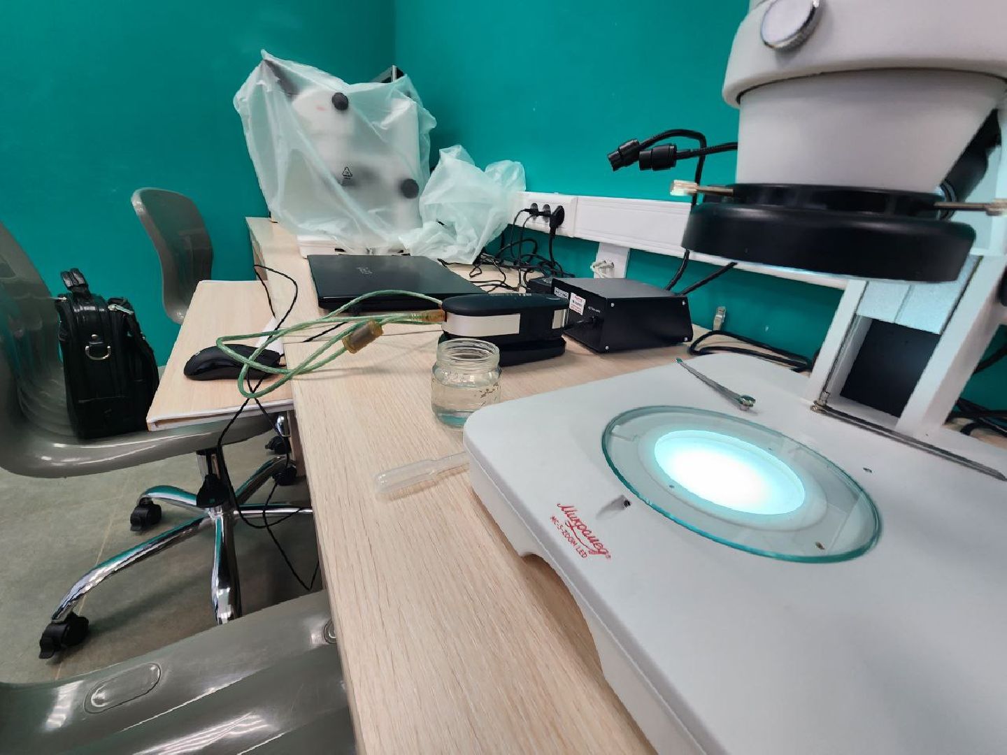 пущино, выборы,выборы 2024, выборы президента россии,