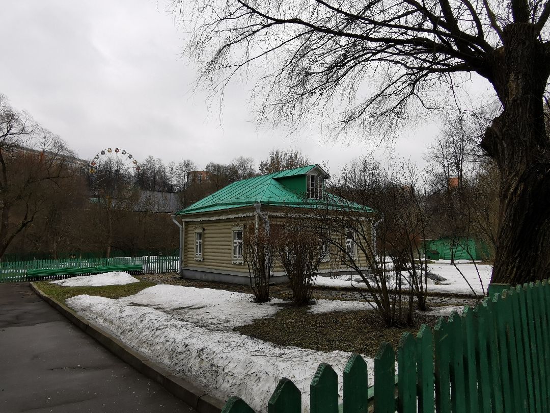 Подольск, кошка, культура