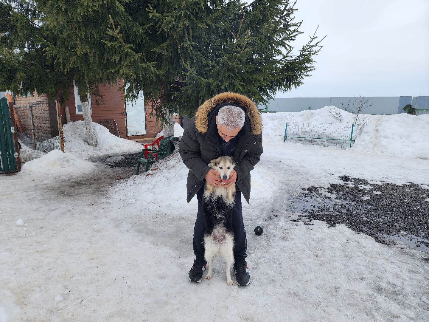 Подольск, игорь айрапетян, Зоозащитник, голосование 2024, выборы президента 2024,