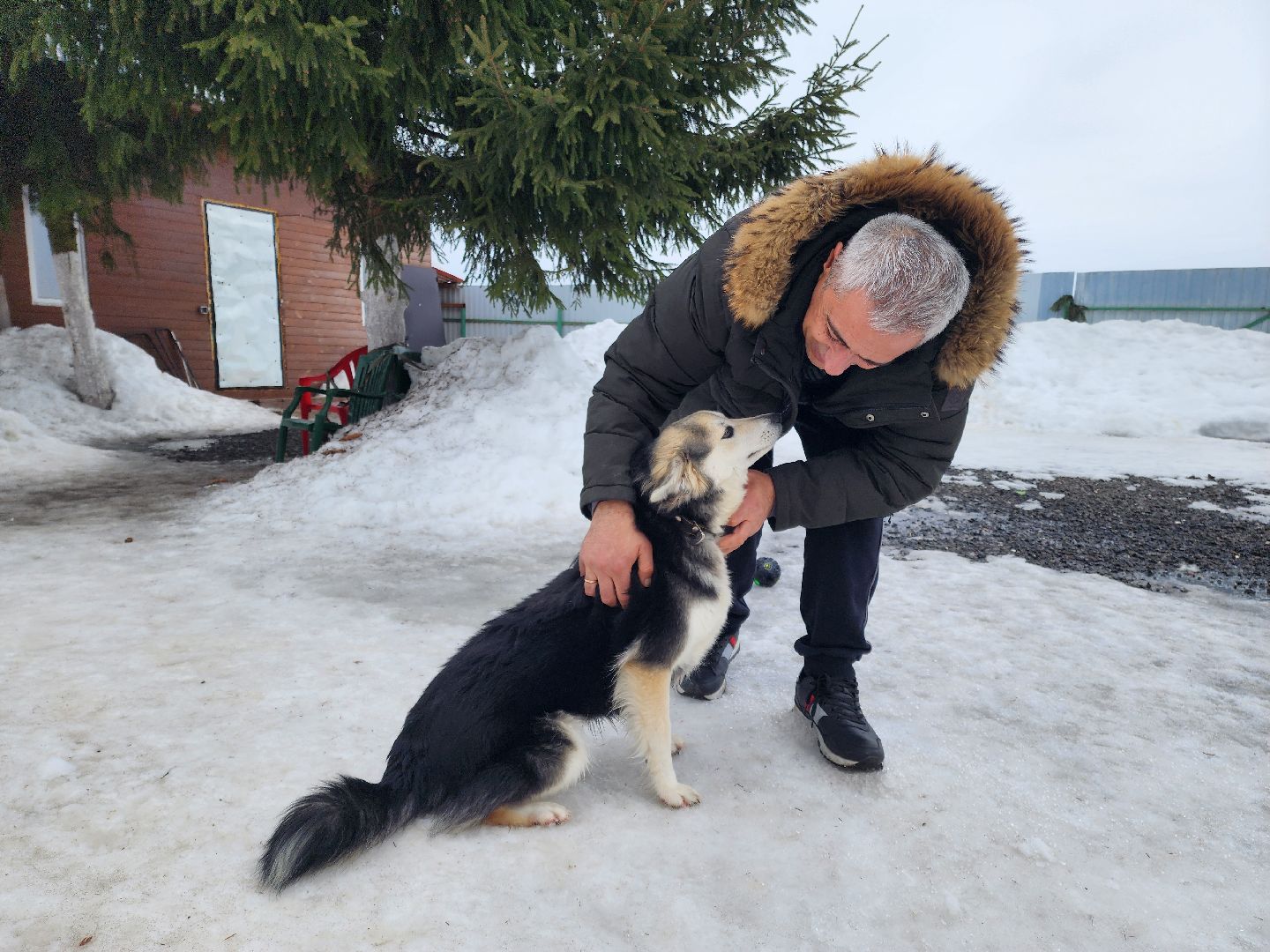 Подольск, игорь айрапетян, Зоозащитник, голосование 2024, выборы президента 2024,