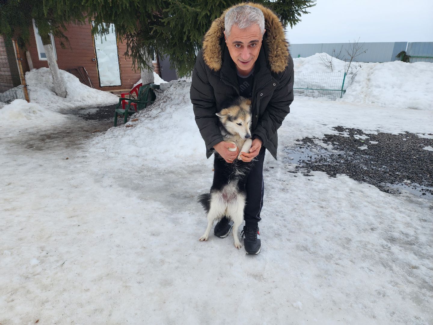 Подольск, игорь айрапетян, Зоозащитник, голосование 2024, выборы президента 2024,