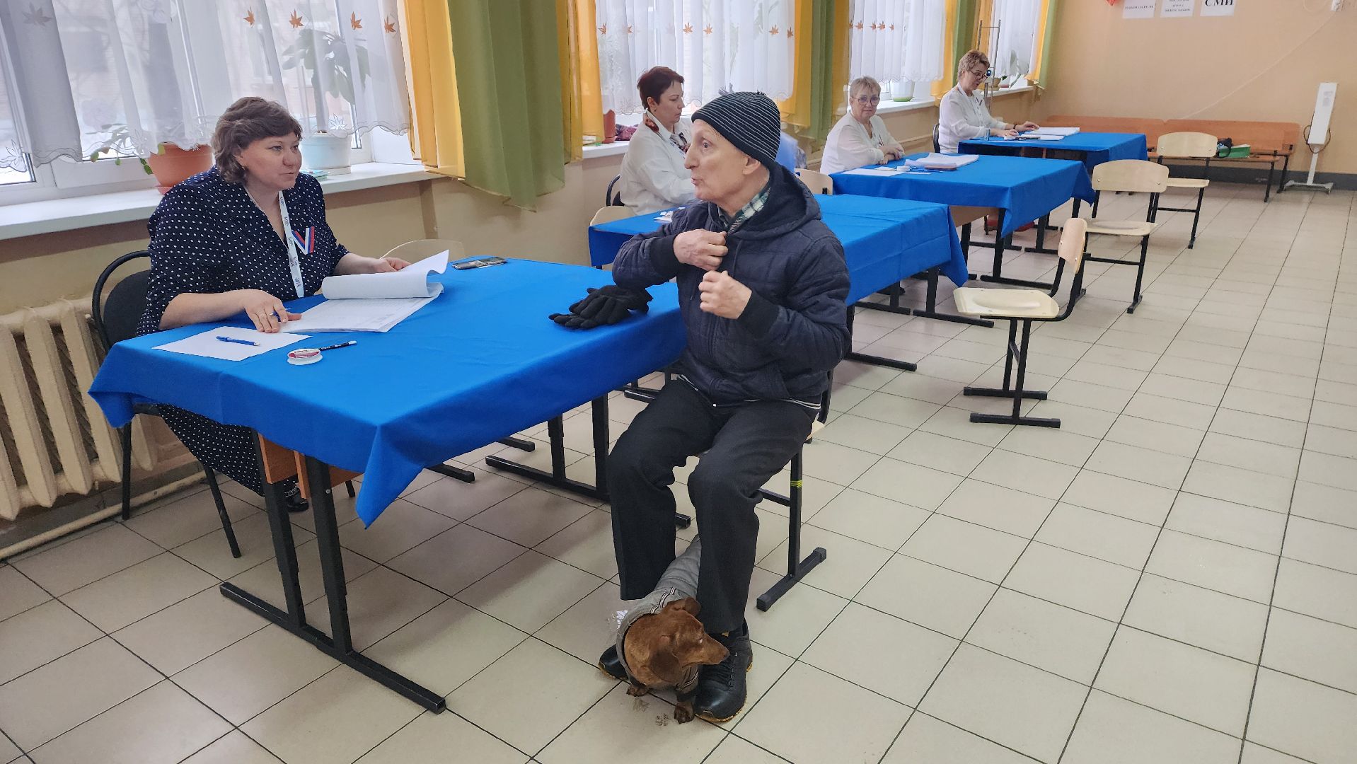 Подмосковье, Ивантеевка, Городской округ Пушкинский, Образование, выборы президента 2024,