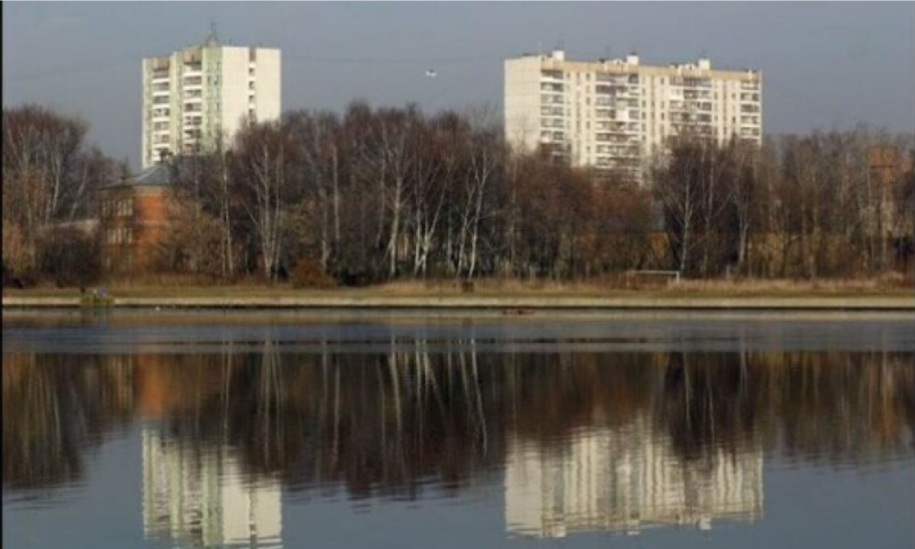 долгопрудный, выборы президента 2024, благоустройство, хлебниково, Островок, пруды, волонтеры,