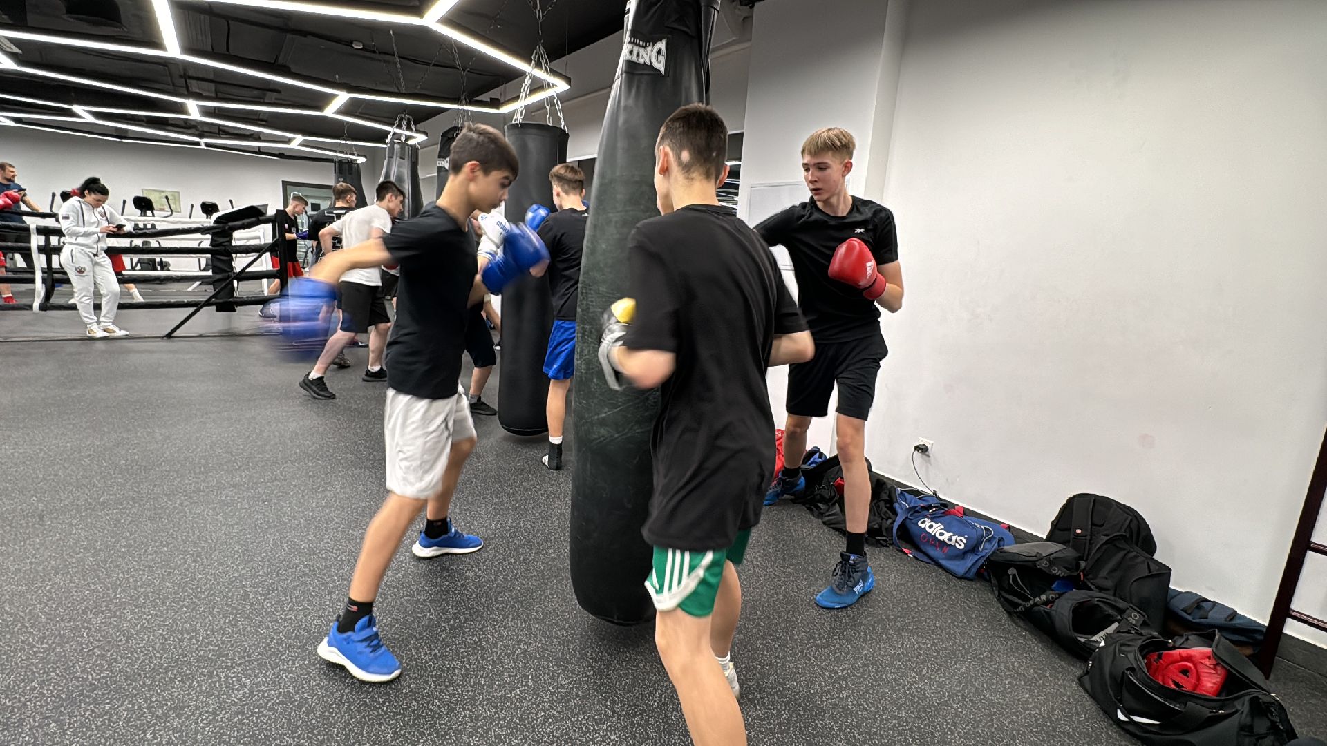 Одинцово, Федерация бокса, Чемпионы мира,