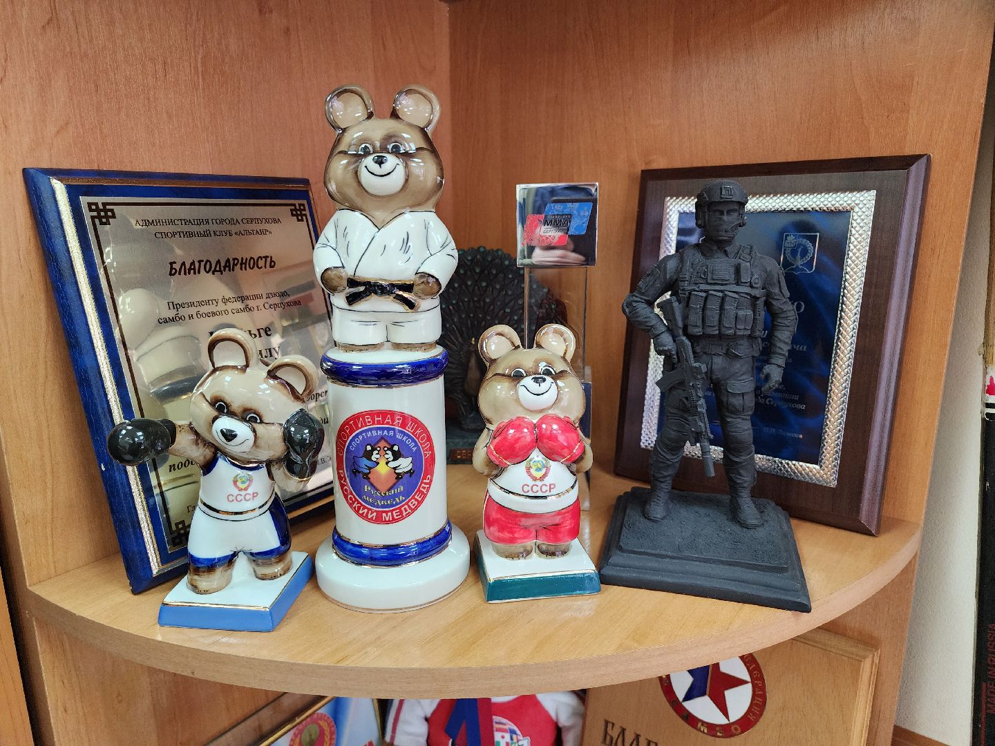 серпухов, подмосковье, выборы 2024, шульга, дэг, выборы президента, выборы президента 2024, выборы президента россии,