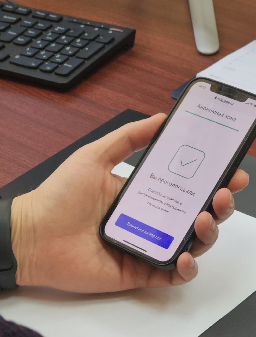Выборы 2024, Дубна, Дистанционное электронное голосование,