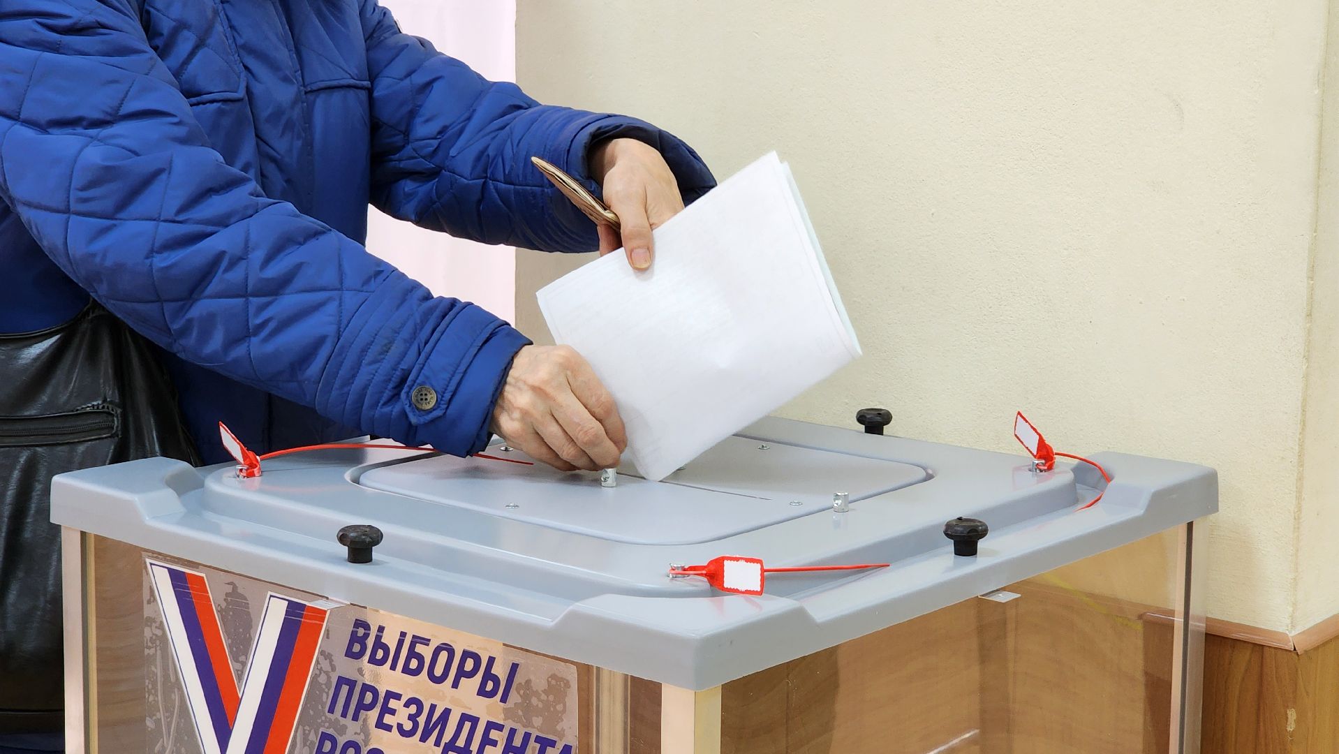 выборы президента, уик, голосование,