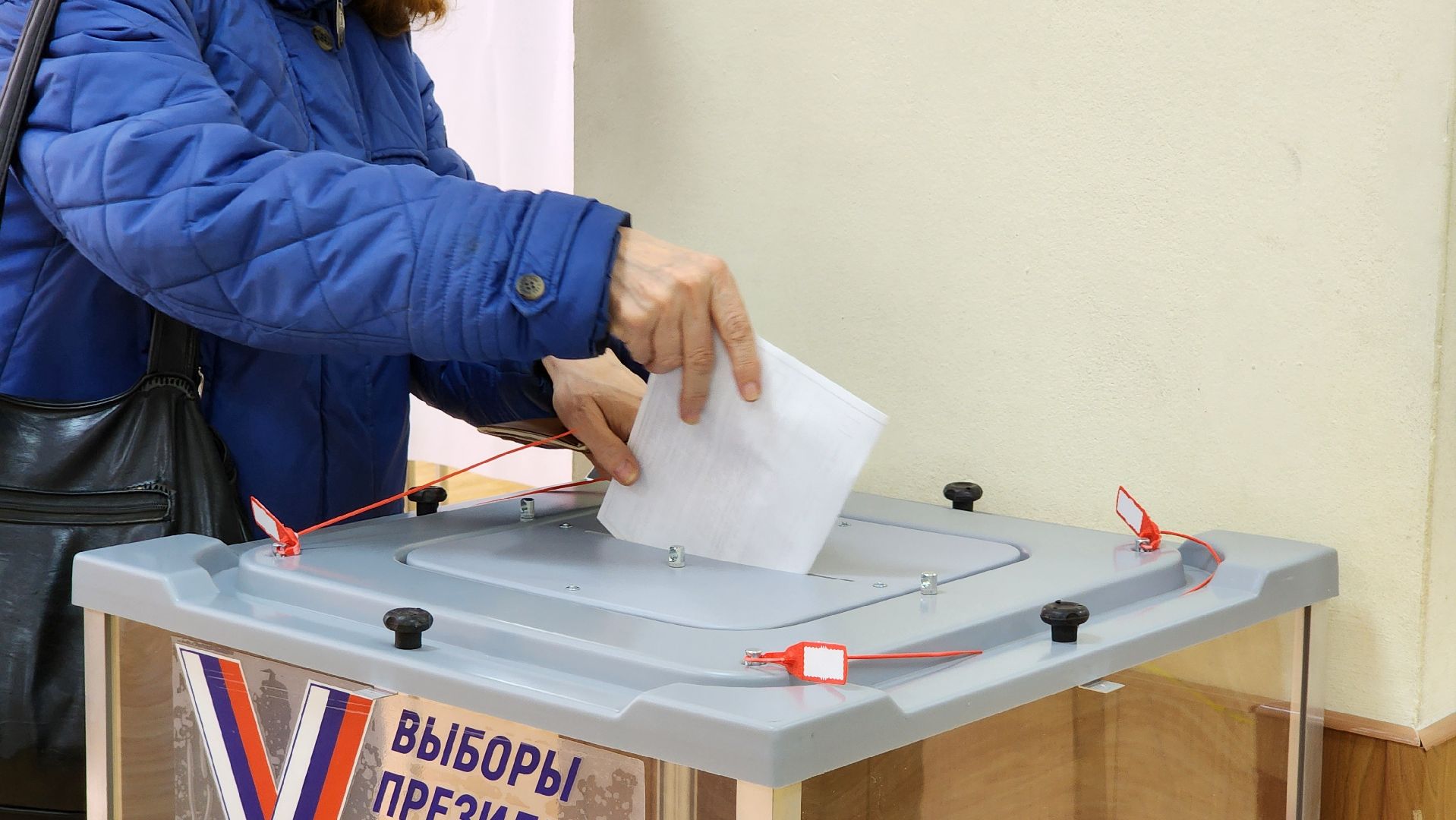 выборы президента, уик, голосование,