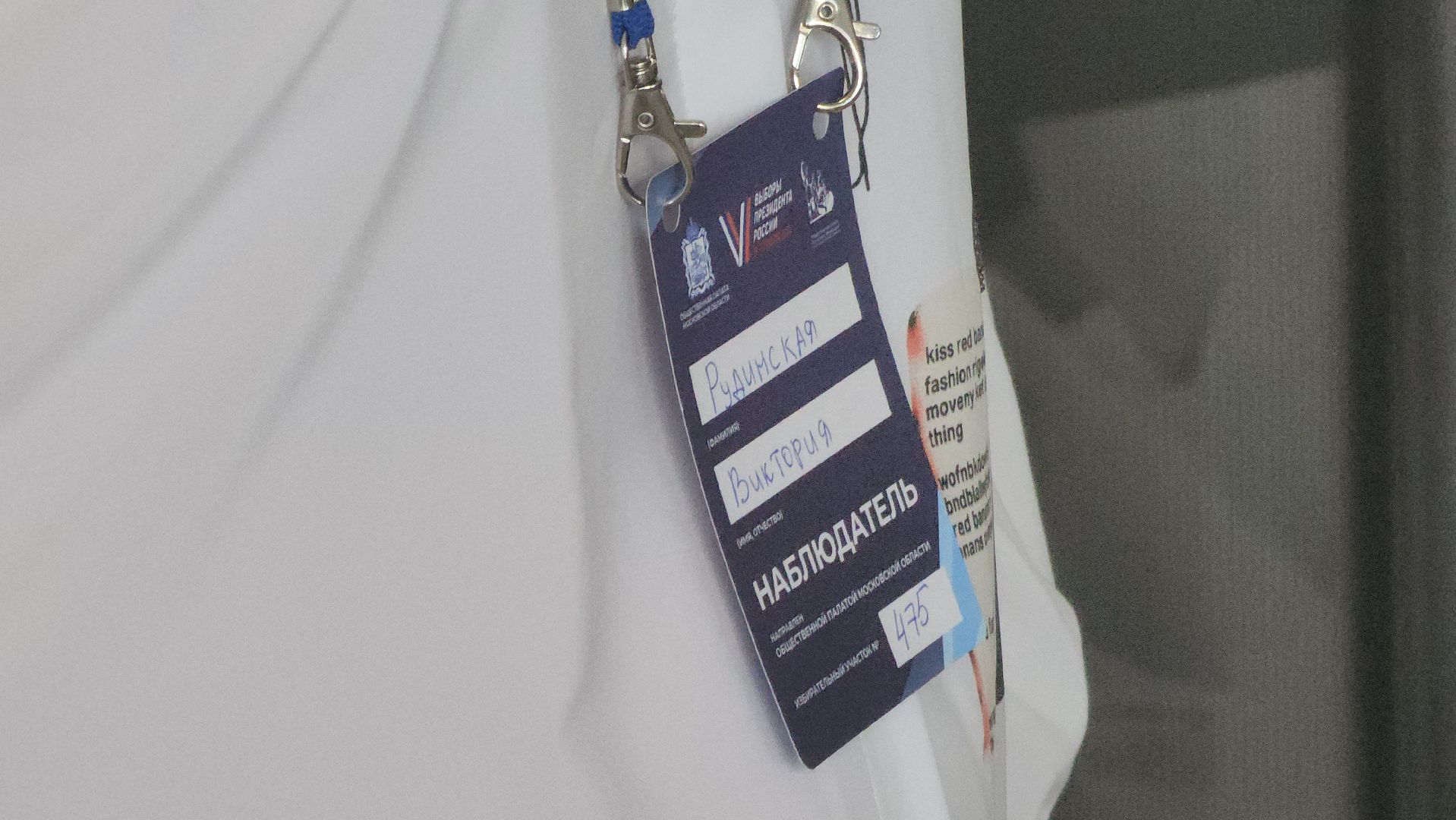 Многодетная мать, Ремесленники Дубны, Дубна, Выборы 2024, Общественные наблюдатели,