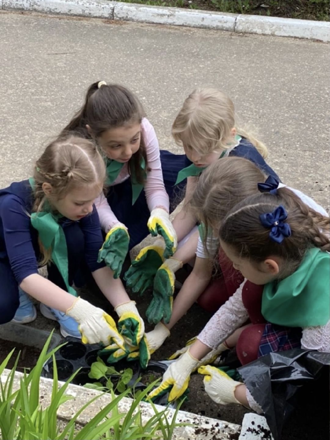 Краснознаменск, экология, Эко-отряд, Гимназия №2, сортировка мусора, утилизация отходов, сбор макулатуры, Анна Мохова