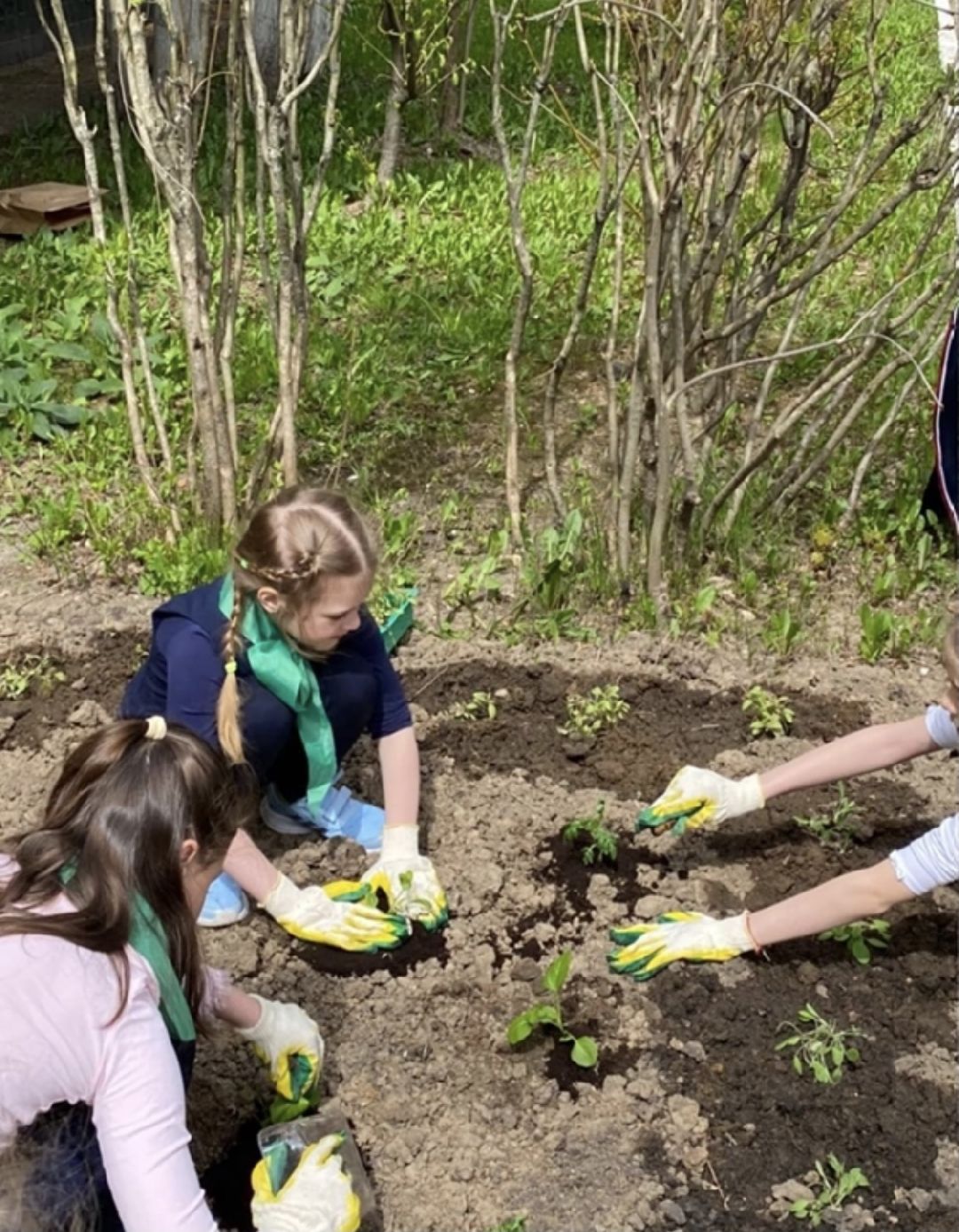 Краснознаменск, экология, Эко-отряд, Гимназия №2, сортировка мусора, утилизация отходов, сбор макулатуры, Анна Мохова