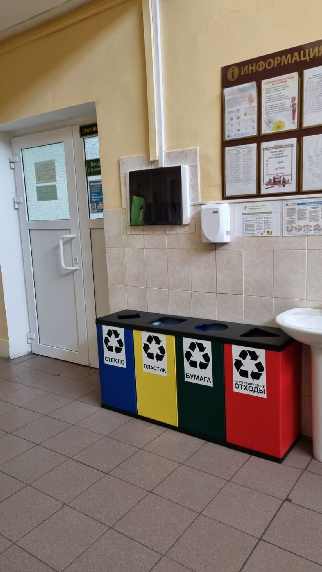 Краснознаменск, экология, Эко-отряд, Гимназия №2, сортировка мусора, утилизация отходов, сбор макулатуры, Анна Мохова