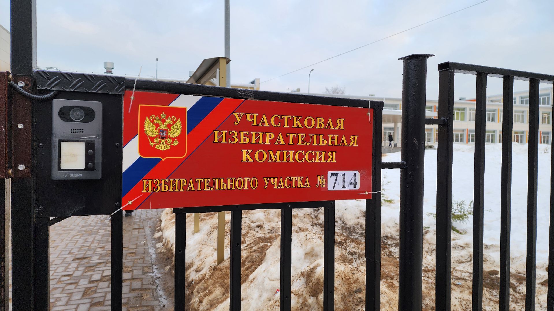 Подмосковье, Городской округ Пушкинский, Ивантеевка, выборы президента 2024, волонтер,