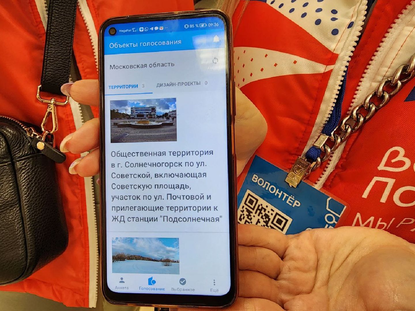 Солнечногорск, Голосование, Благоустройство, Волонтеры, жители выбирают,