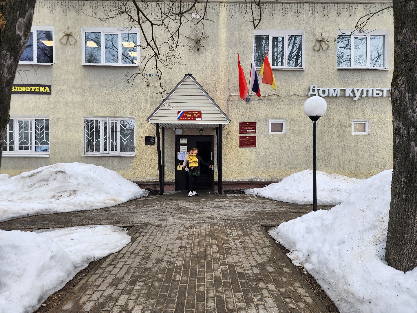 выборы Президента, голосование, избирательная комиссия, Большое Буньково, Богородский городской округ,