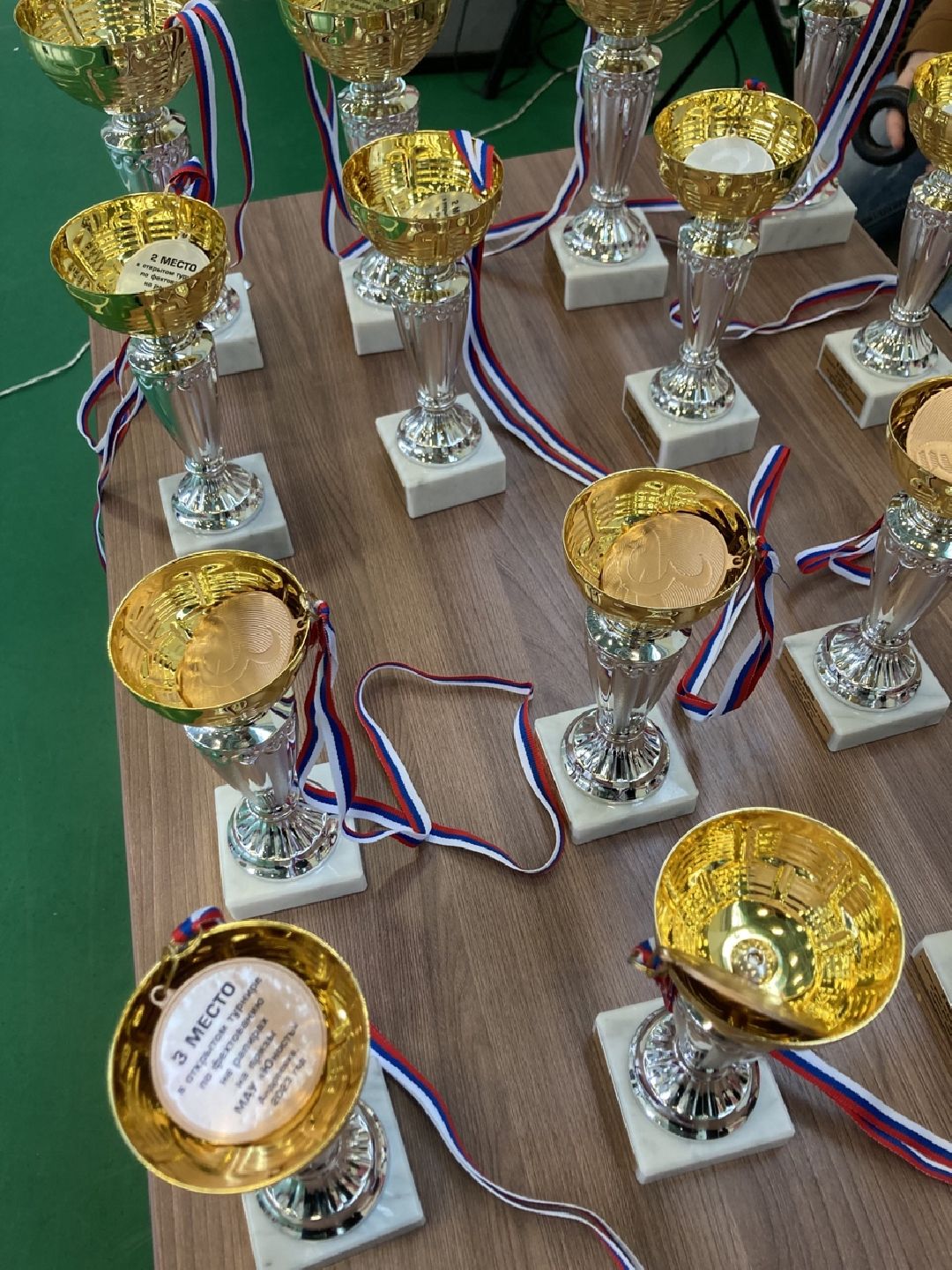 Солнечногорск, Спорт, Фехтование