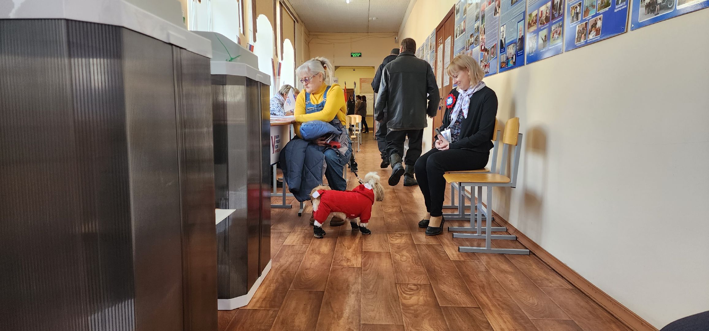 раменское, выборы 2024, дама с собачкой,