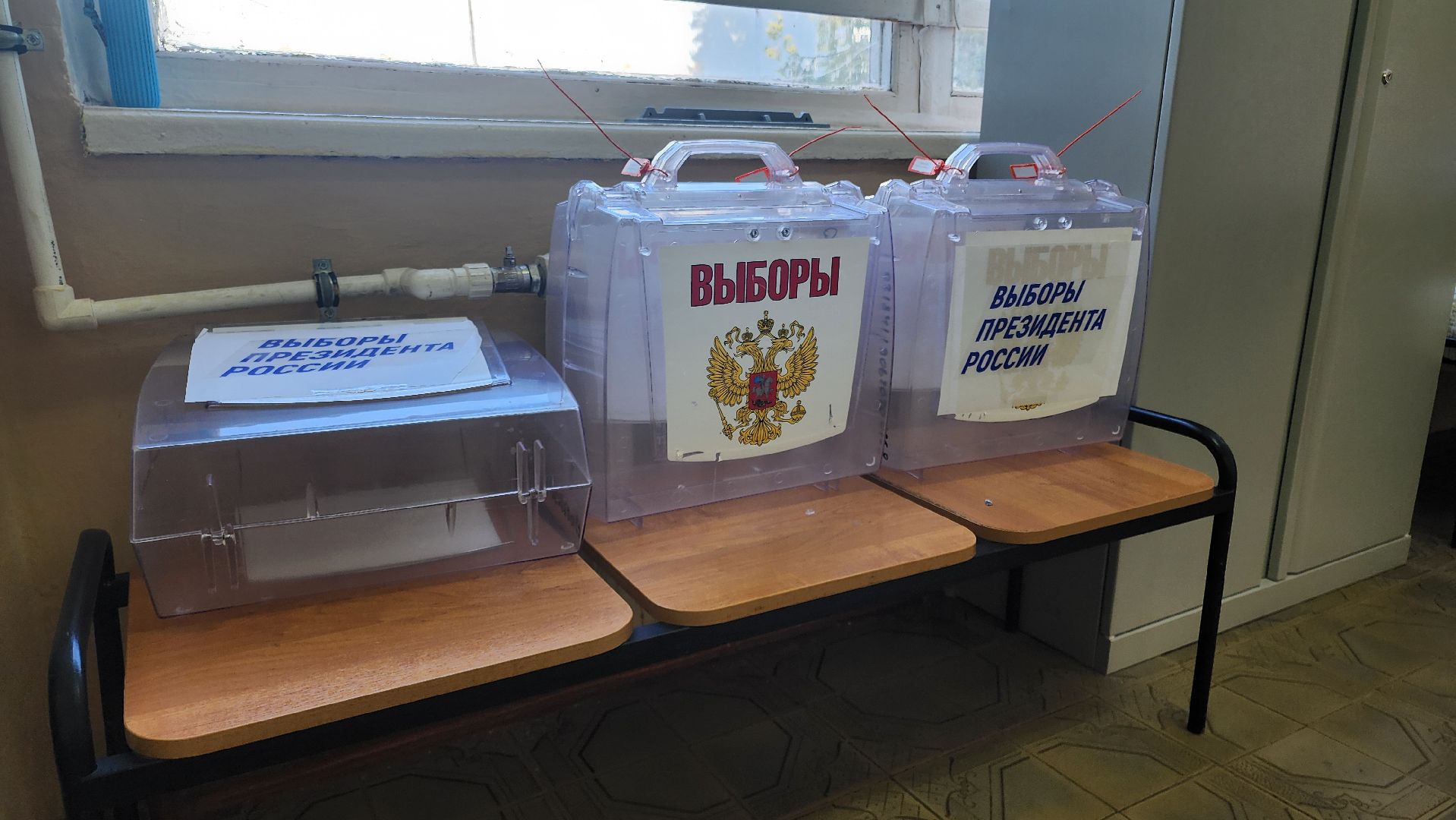 Кашира, выборы 2024, голосование, Выбора президента, волонтеры подмосковья,