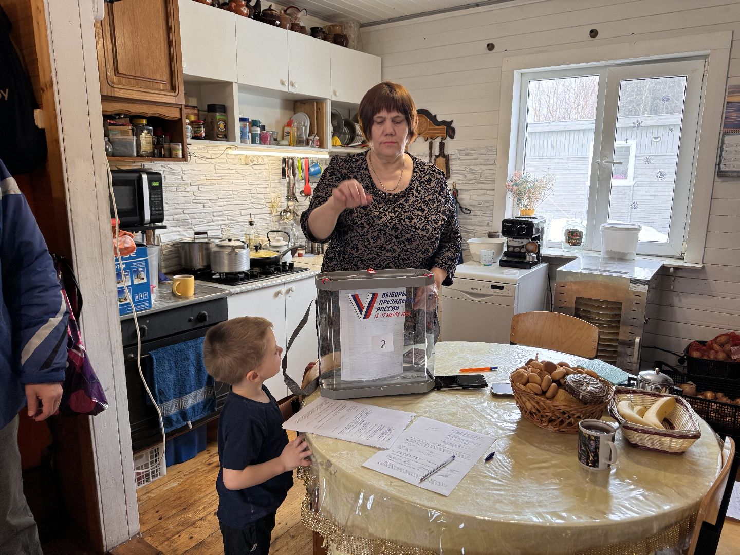 шаховская, голосование на дому, выборы президента, выборы 2024,