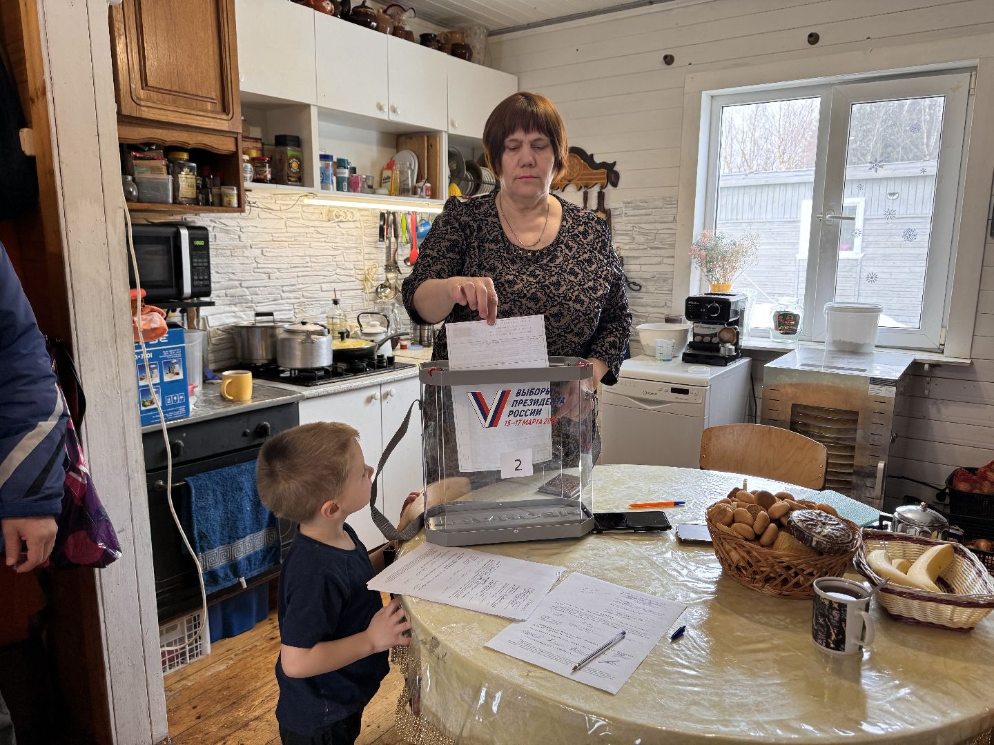 шаховская, голосование на дому, выборы президента, выборы 2024,