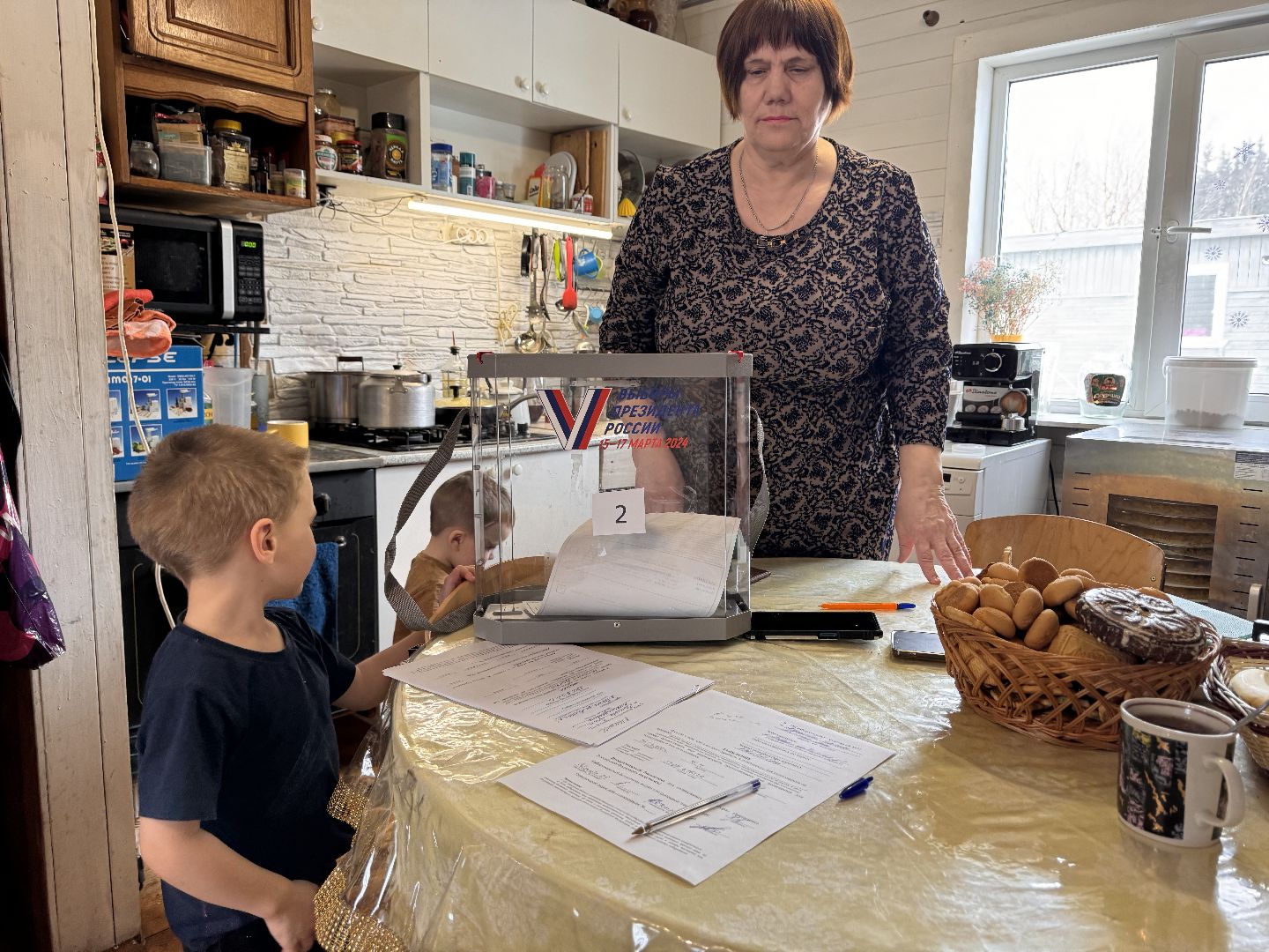 шаховская, голосование на дому, выборы президента, выборы 2024,