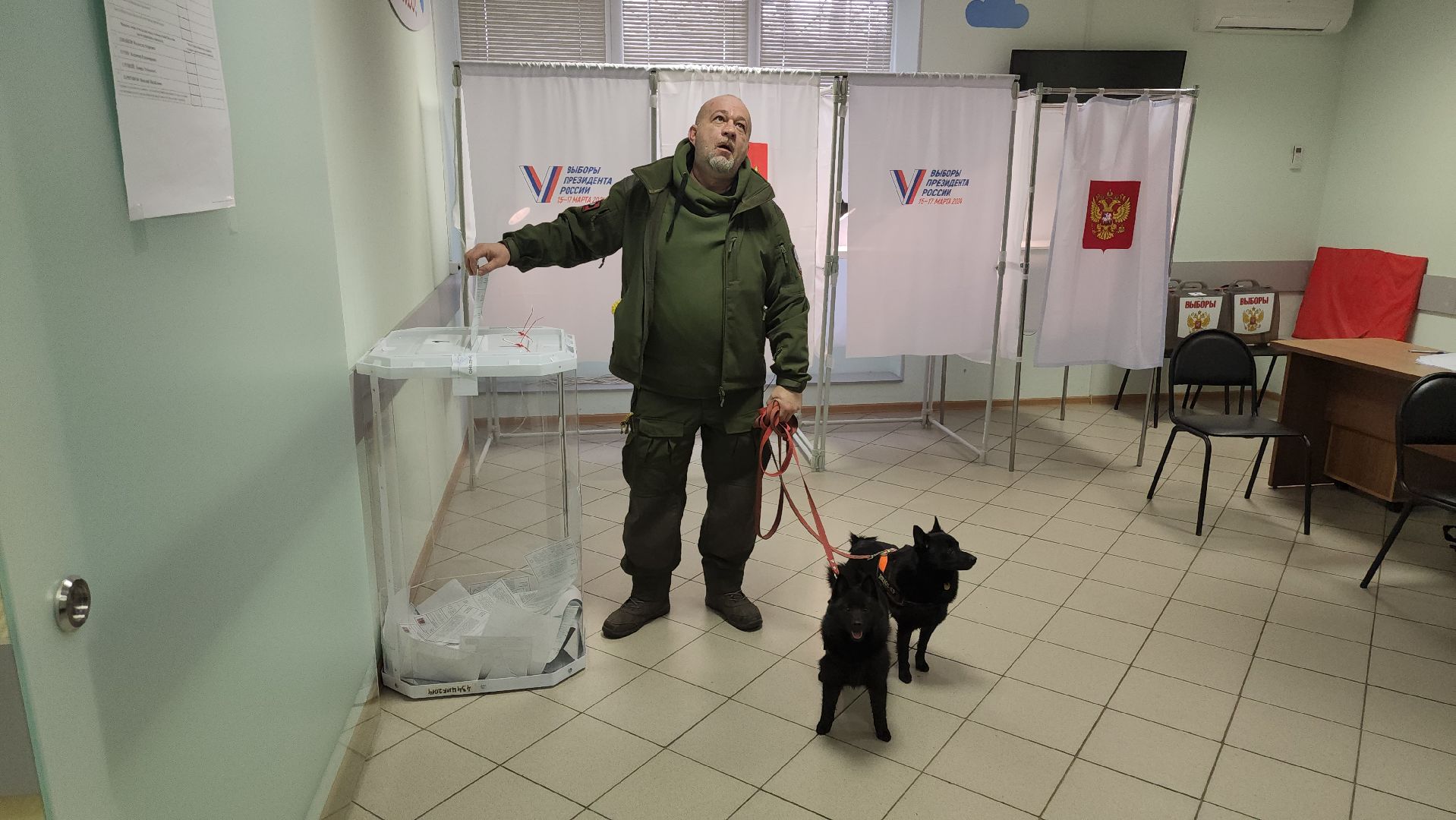 долгопрудный, выборы президента 2024, кинологи, овчарки шипперке,