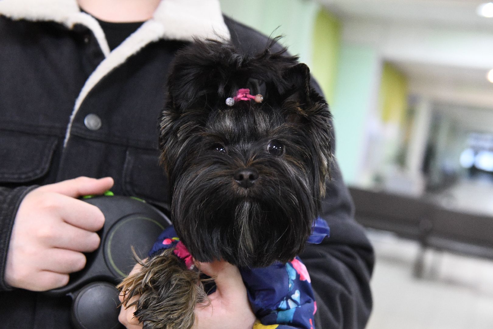 лыткарино, выборы, выборы президента 2024,