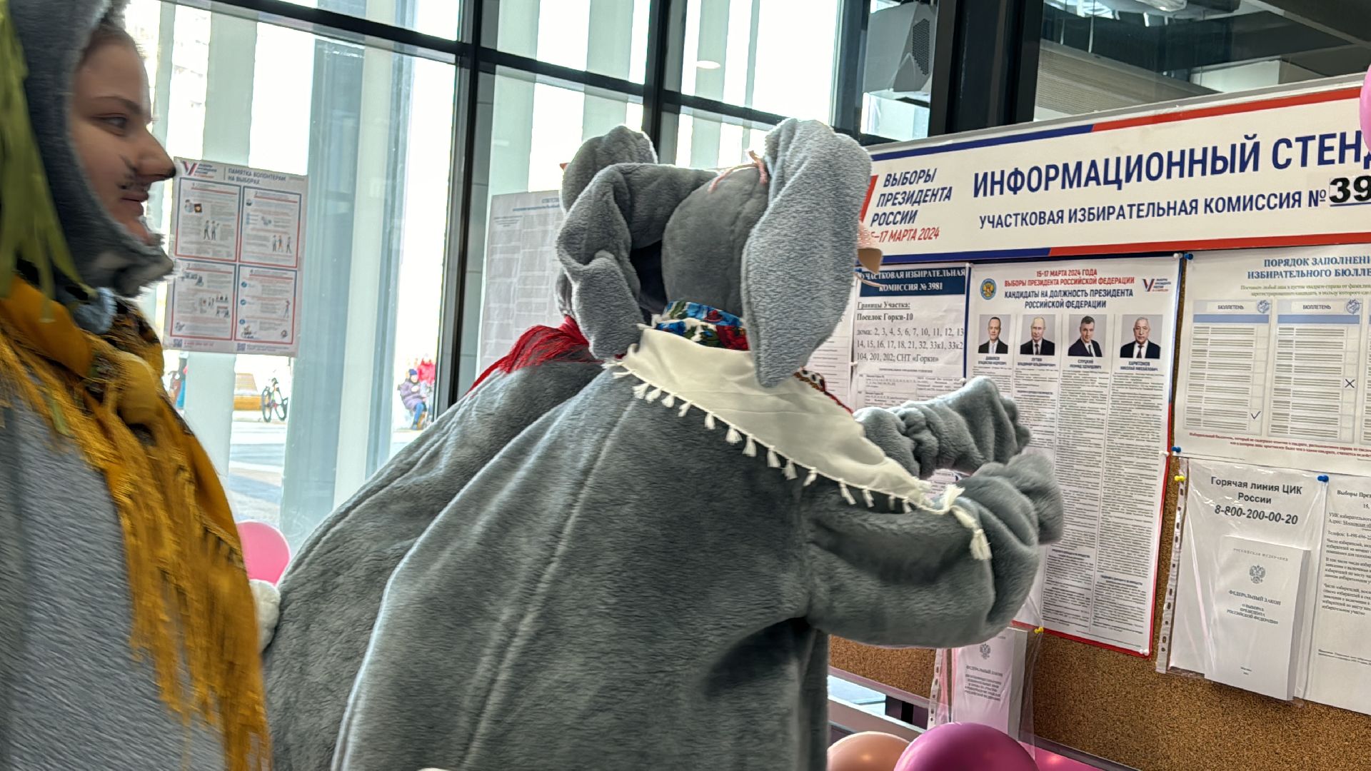 Одинцово, горки-10, выборы 2024,дедушка Мазай, Некрасов, дед Мазай, дедушка Мазай и зайцы,