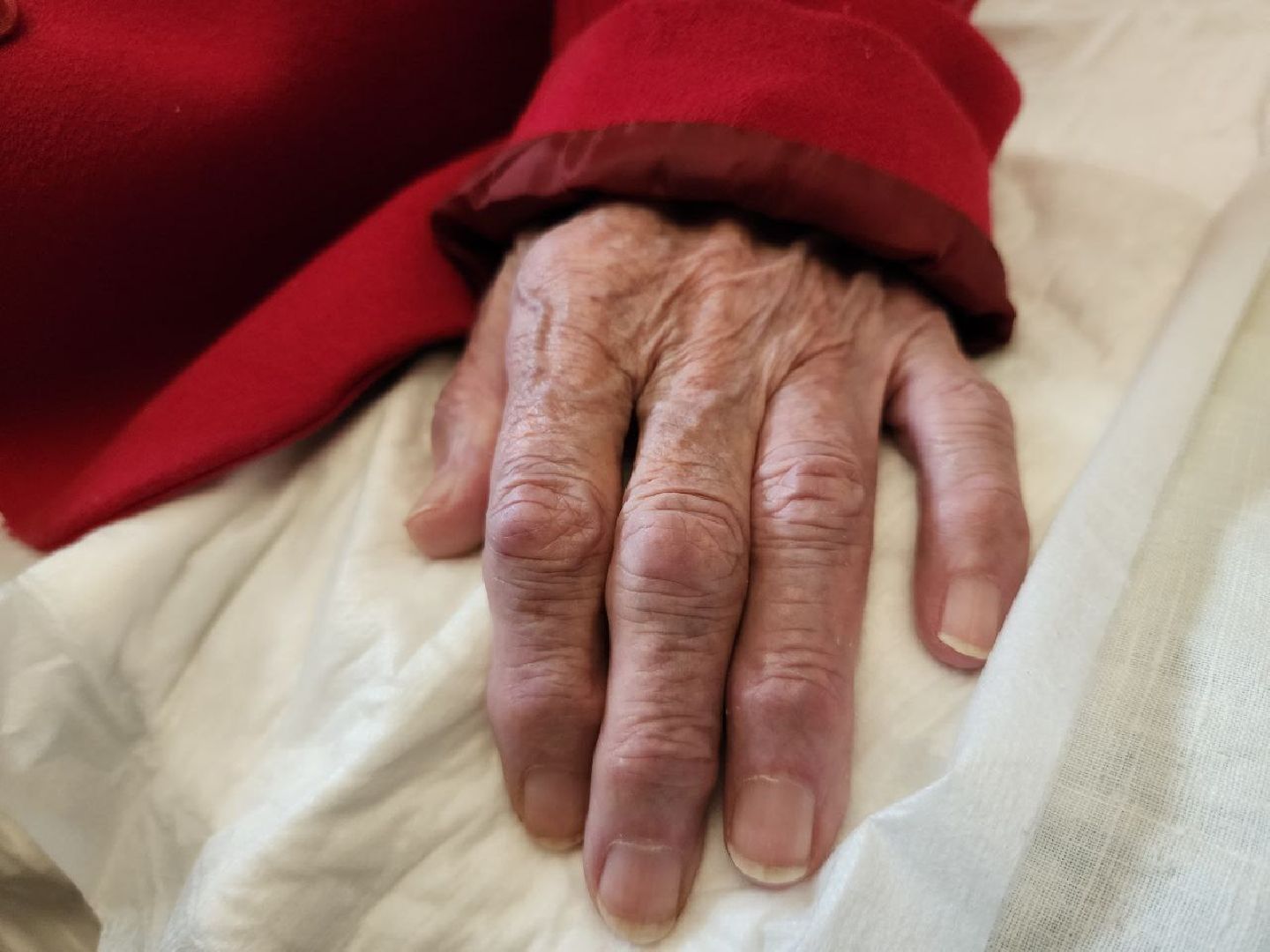 можайск, можайский городской округ, подмосковье, ветеран, голосование, президент, выборы 2024, голосование на дому, выборы, выборы президента, выборы президента 2024, выборы президента россии,