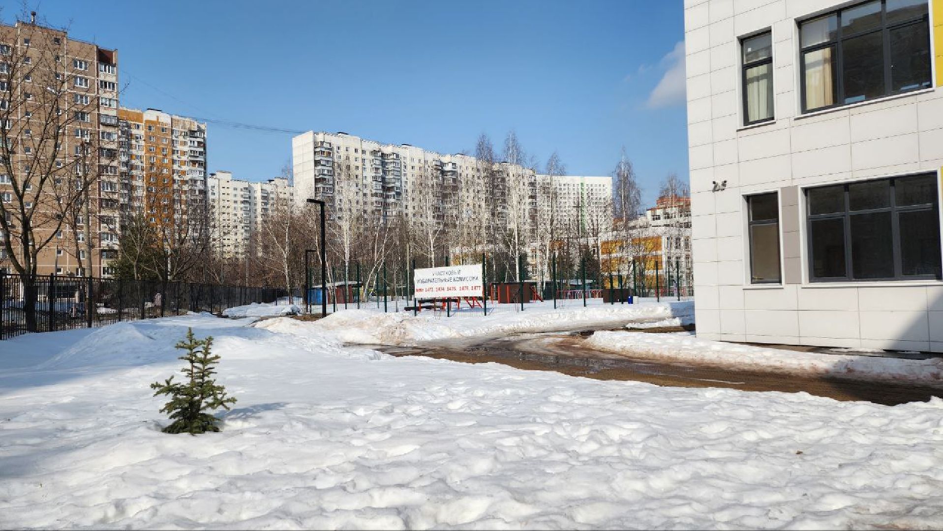 Люберцы, выборы, избирательный участок, бюллетени,