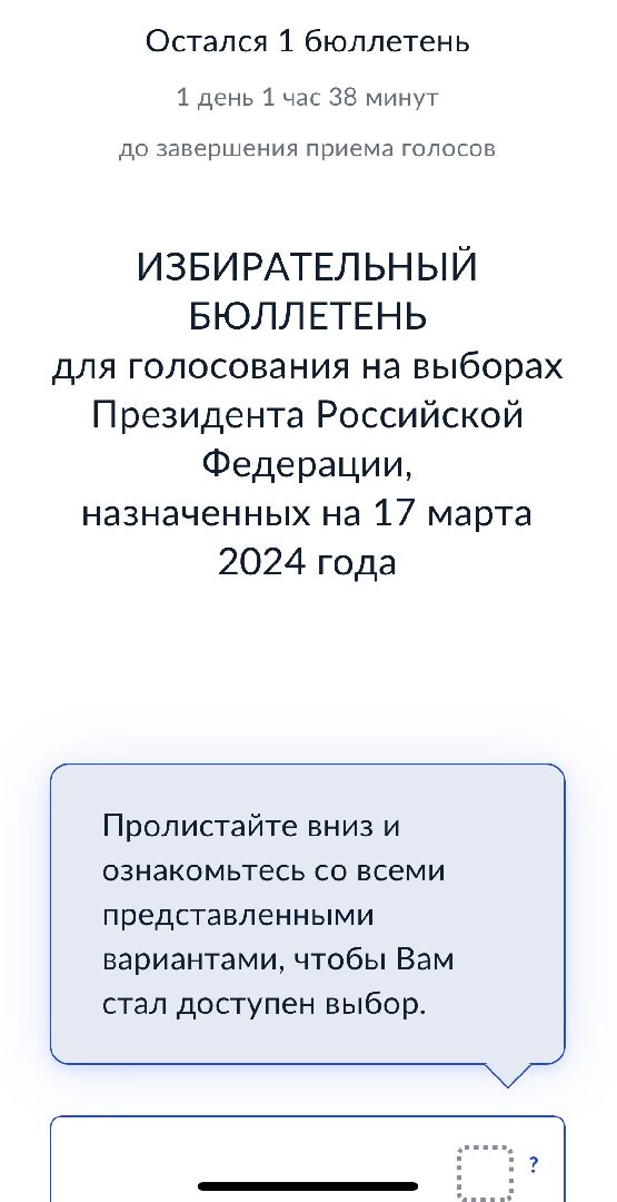 Выборы, выборы 2024, дистанционное электронное голосование, дистанционное голосование,