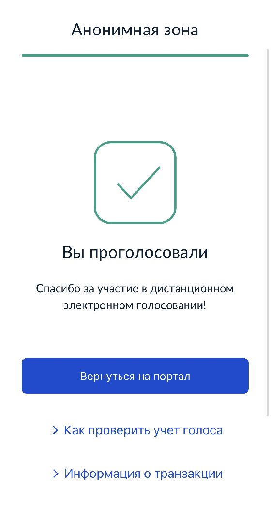 Выборы, выборы 2024, дистанционное электронное голосование, дистанционное голосование,