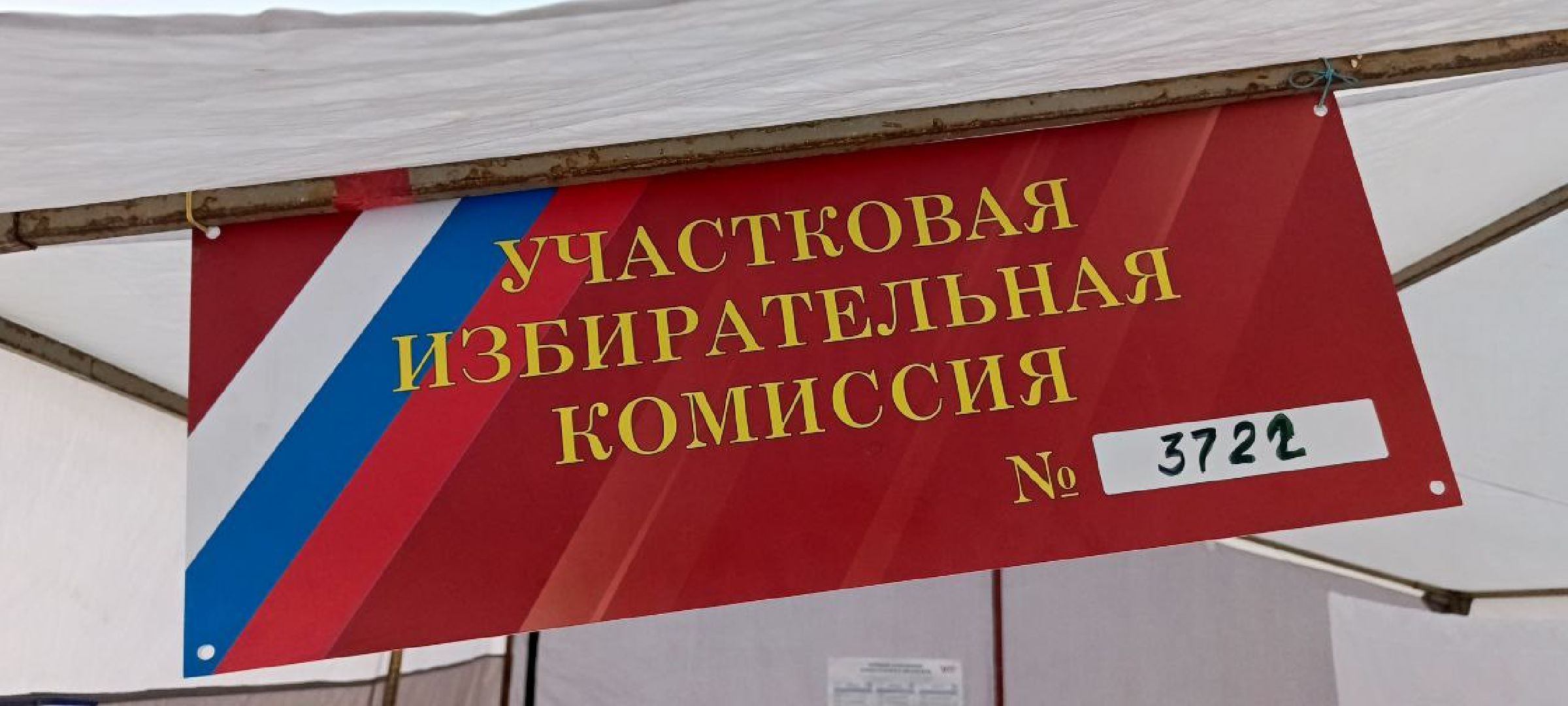 Дмитров, Выборы 2024,