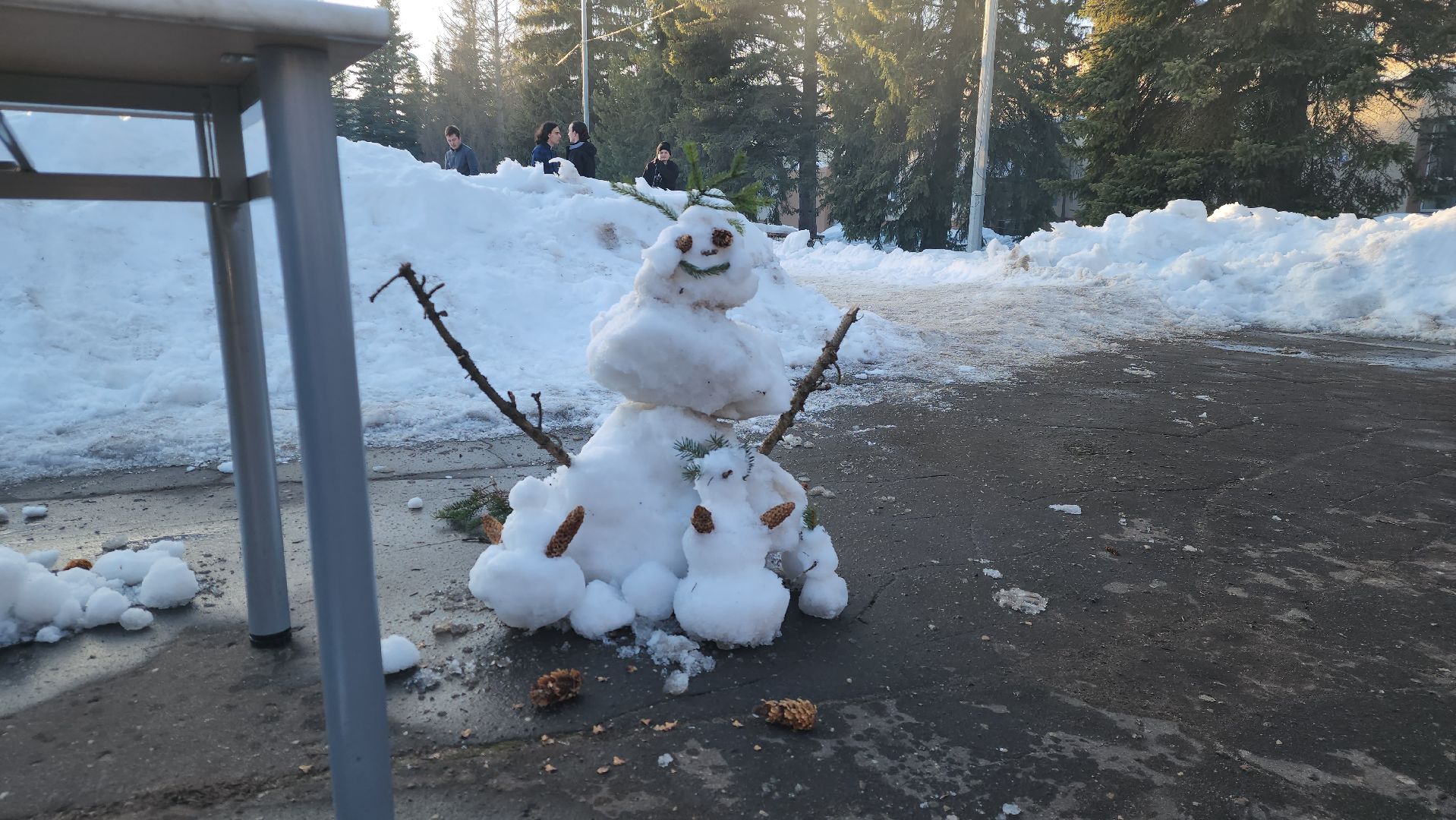 Масленица, Студенты, Университет, Дубна,