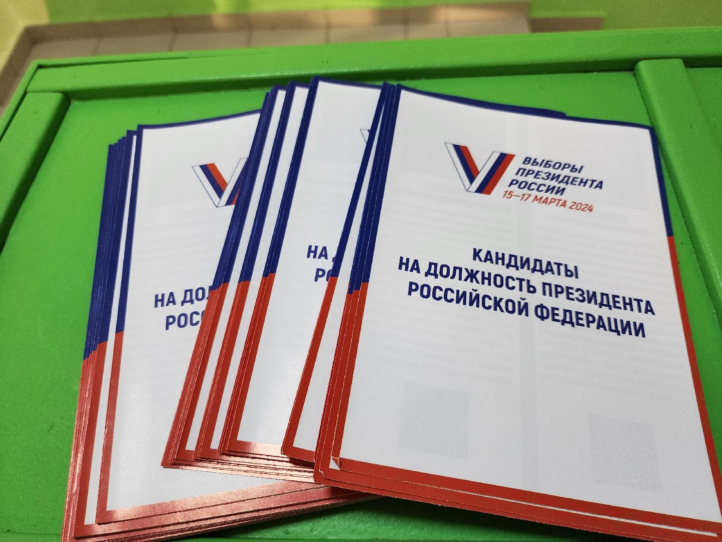 выборы, общественная палата, руза, рузский городской округ, выборы президента 2024, выборы президента рф 2024, выборы президента россии, выборы 2024,