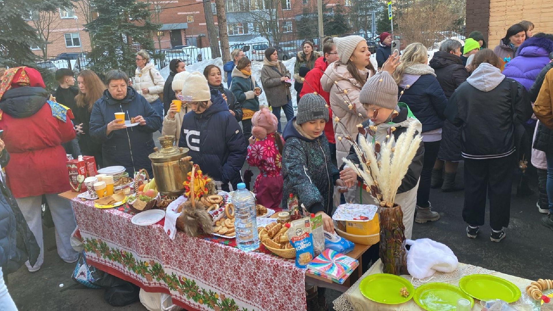 пушкино, масленица, лицей, школьники, праздник,