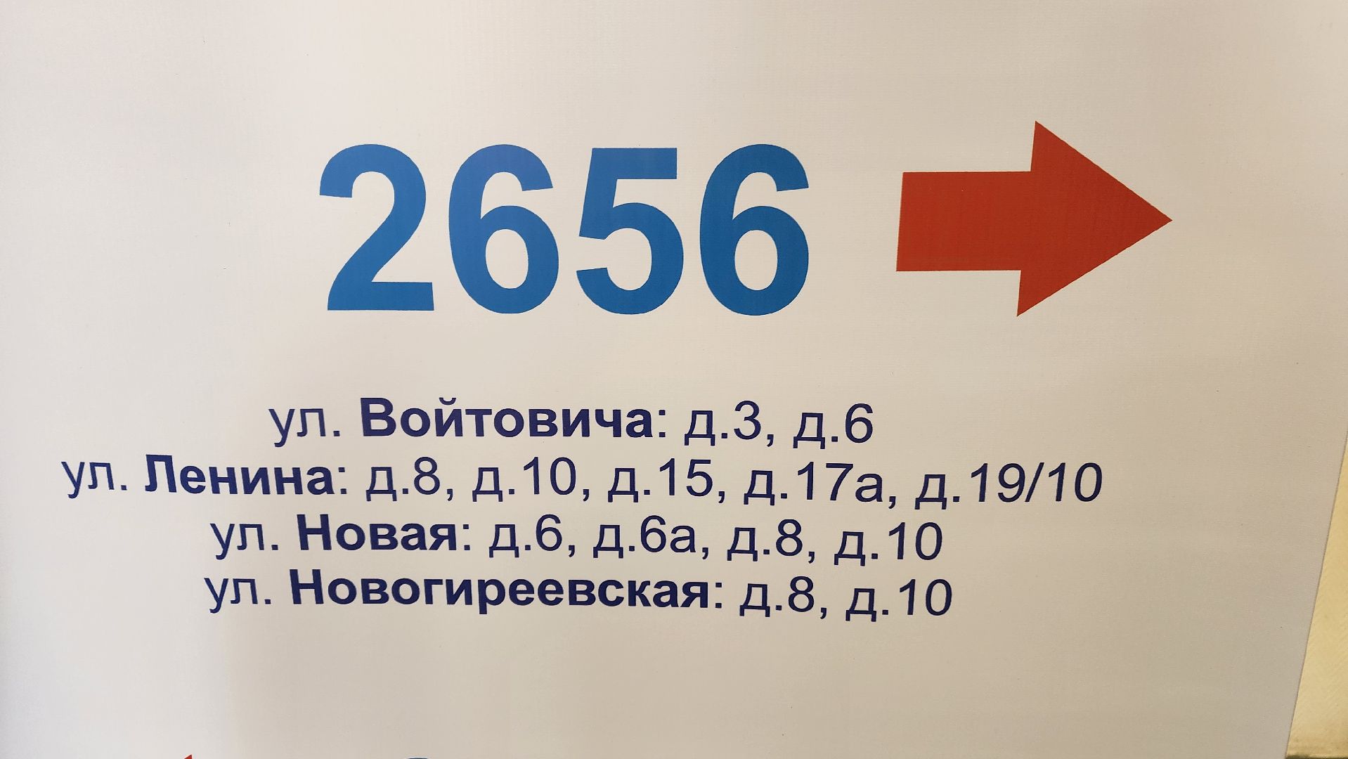 Реутов, выборы, Президент, УИК, голосования, животное,