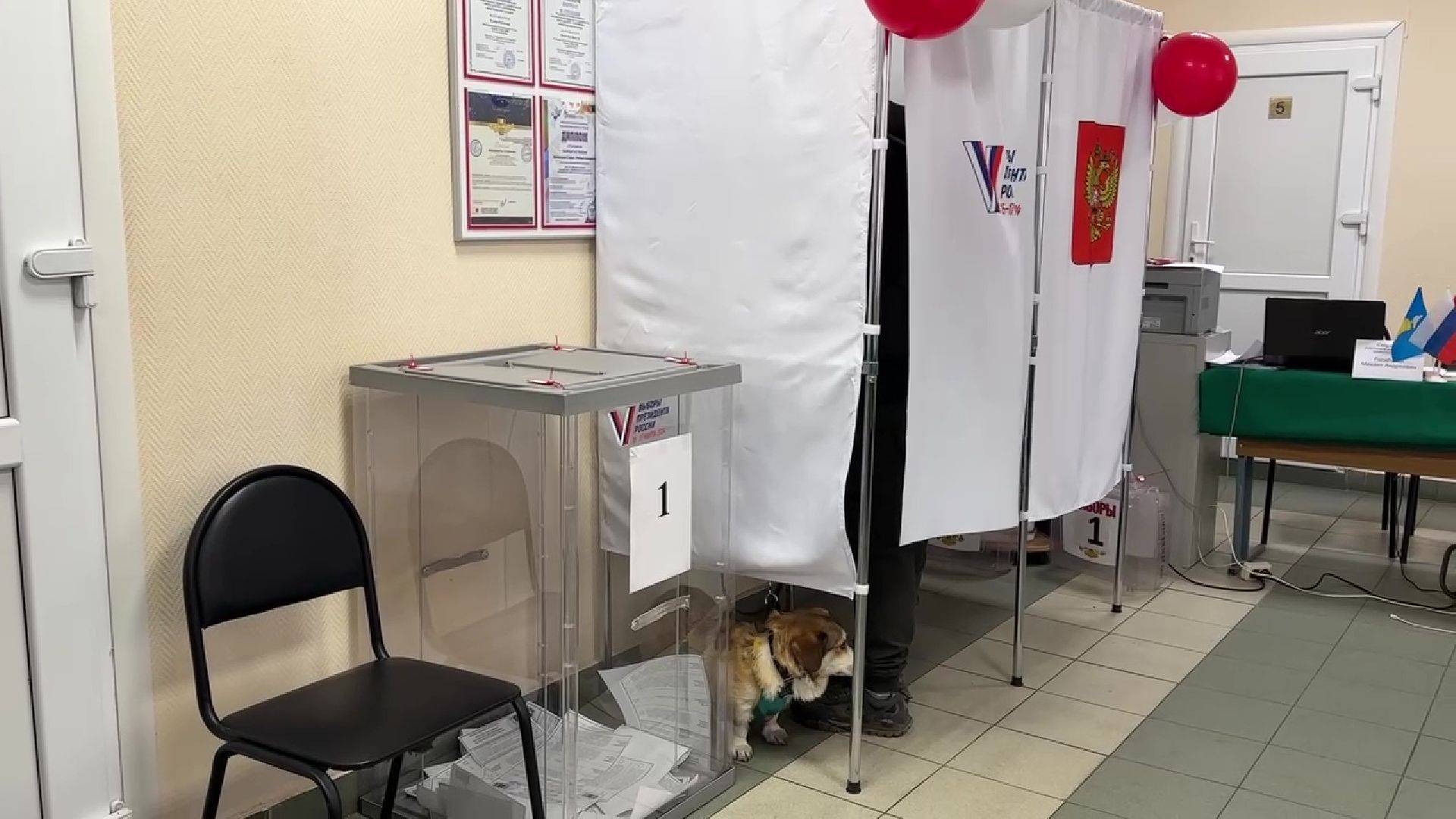 Реутов, выборы, Президент, УИК, голосования, животное,