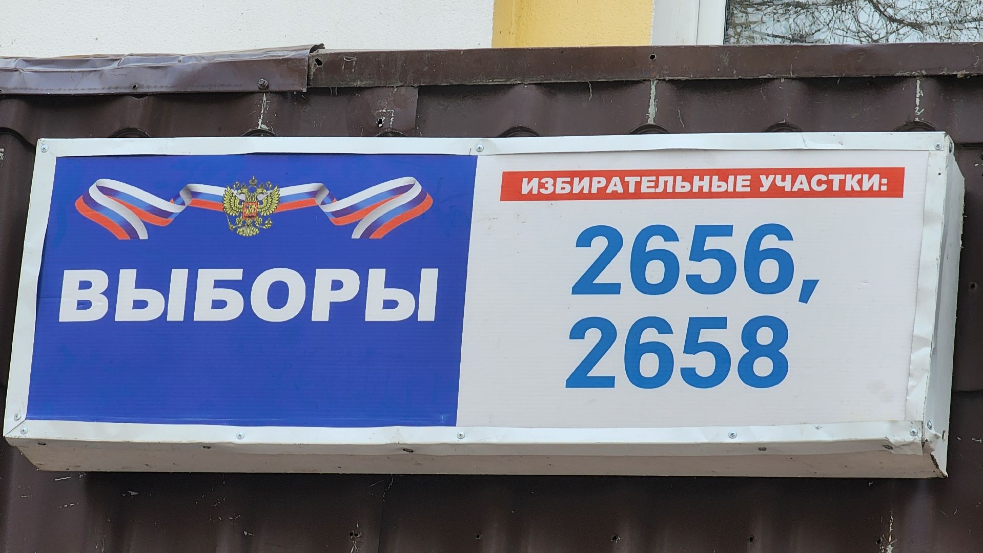 Реутов, выборы, Президент, УИК, голосования, животное,