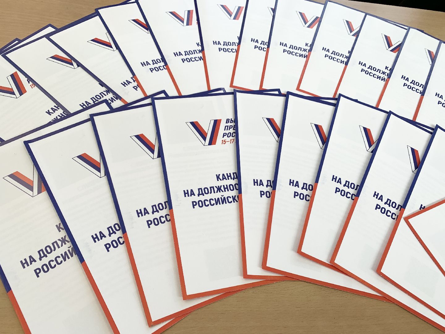 Балашиха, Подмосковье, выборы президента россии,