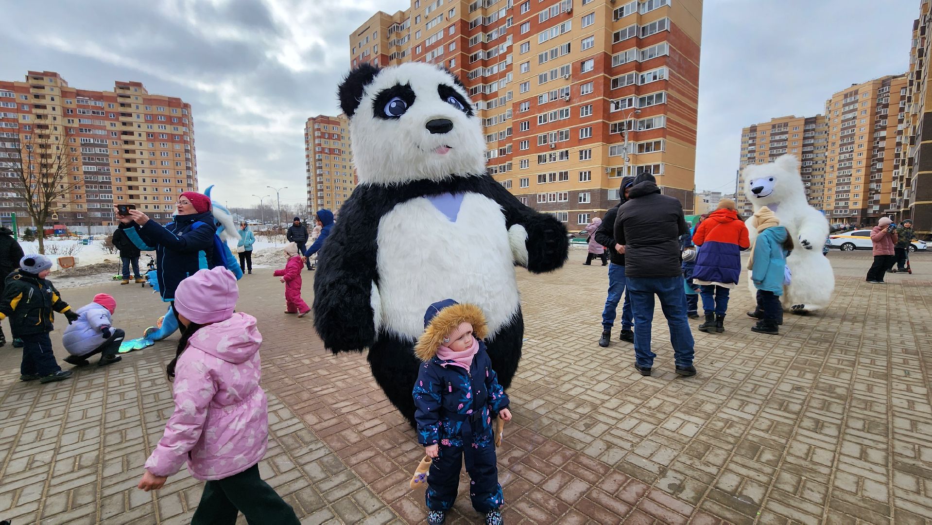 выборы, выборы 2024, выборы президента, Лосино-Петровский, выборы президента 2024, выборы президента россии, медведь на выборах,