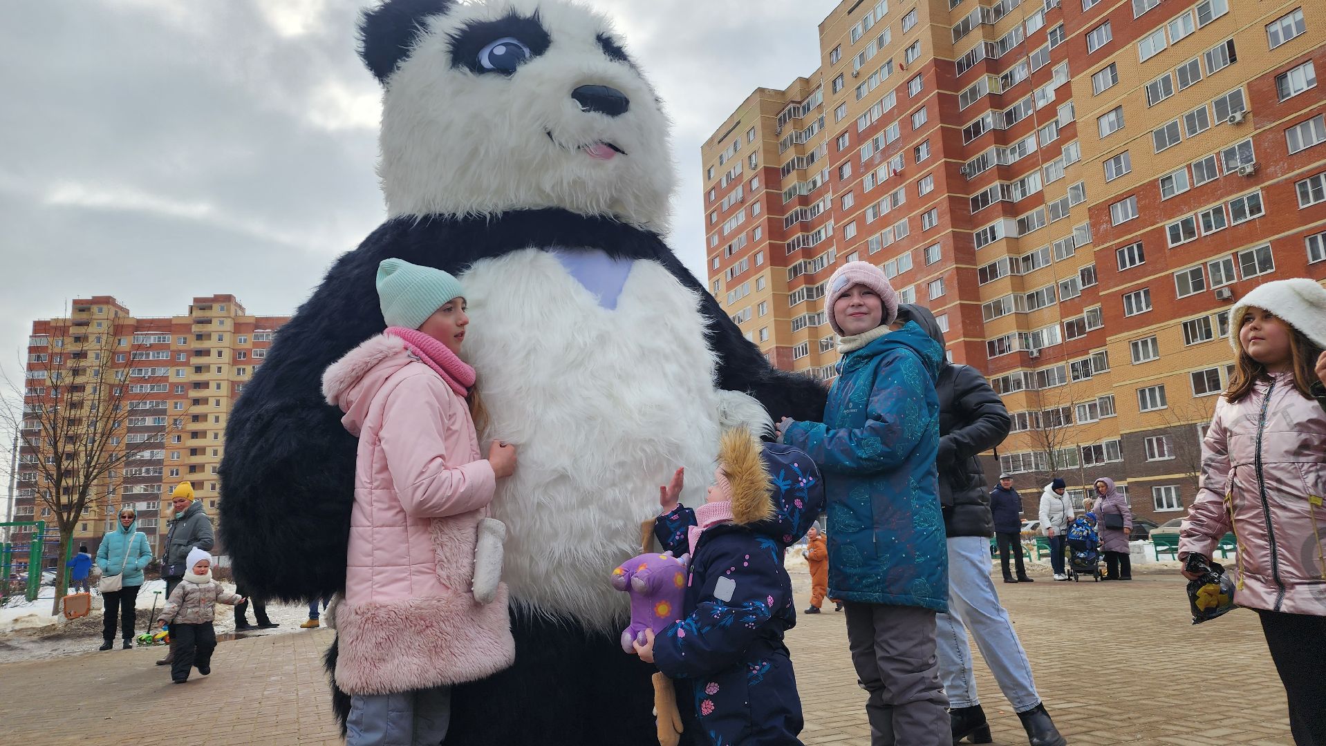 выборы, выборы 2024, выборы президента, Лосино-Петровский, выборы президента 2024, выборы президента россии, медведь на выборах,